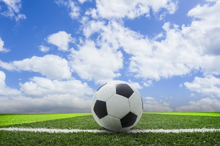 资深球迷观赛场景